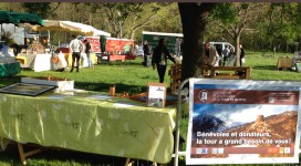 foire aux chevreaux