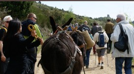 4e Troubade de Batère