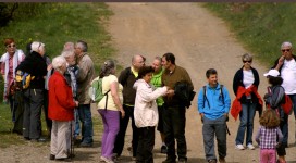 4e Troubade de Batère